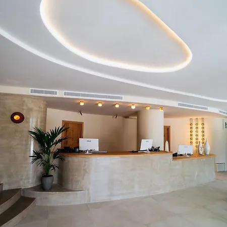 酒店 帕查酒店 伊维萨镇